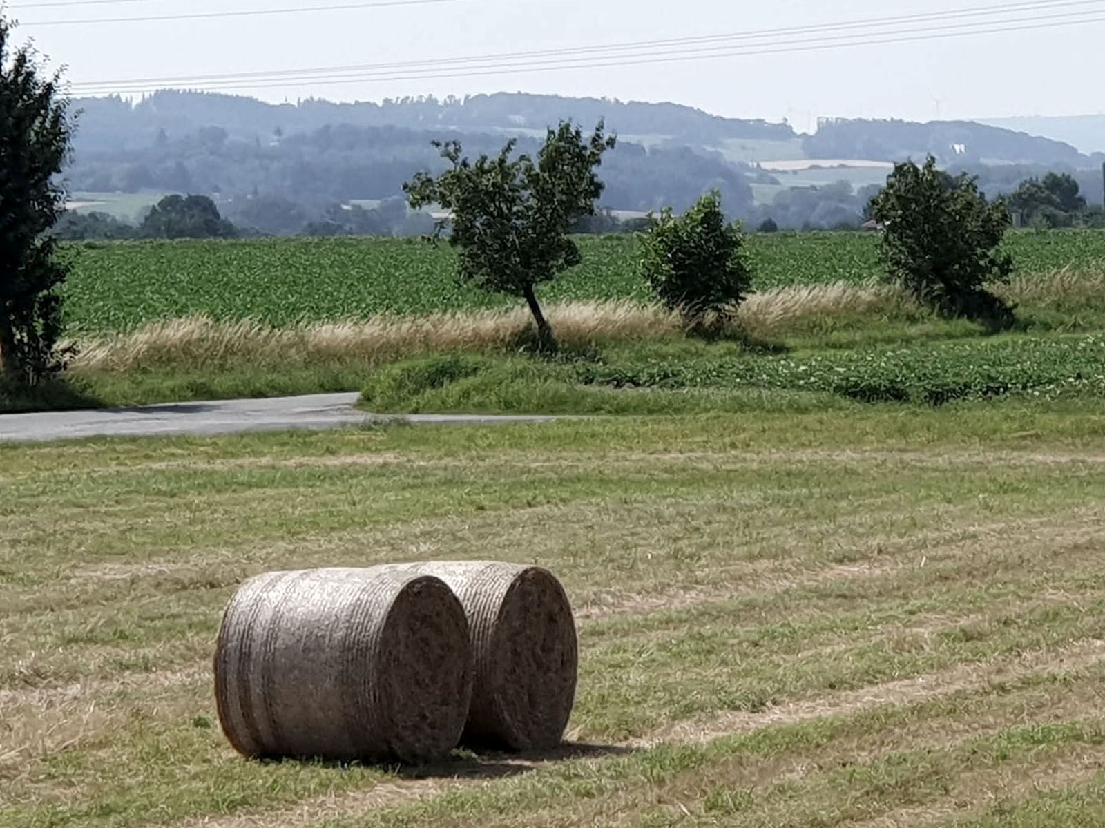 Zwei Heuballen auf einer gemähten Wiese