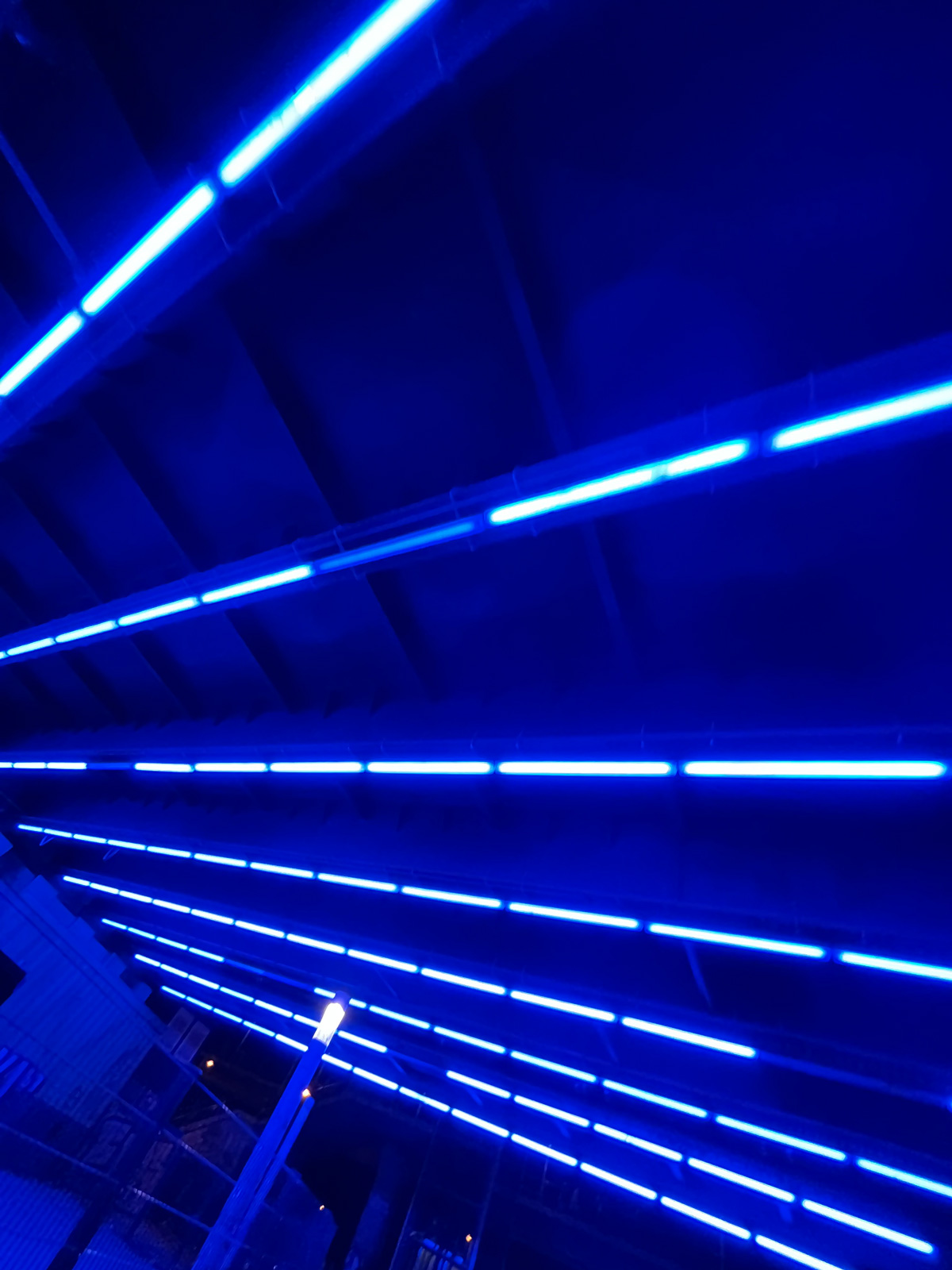 Blaue Neon-Röhren