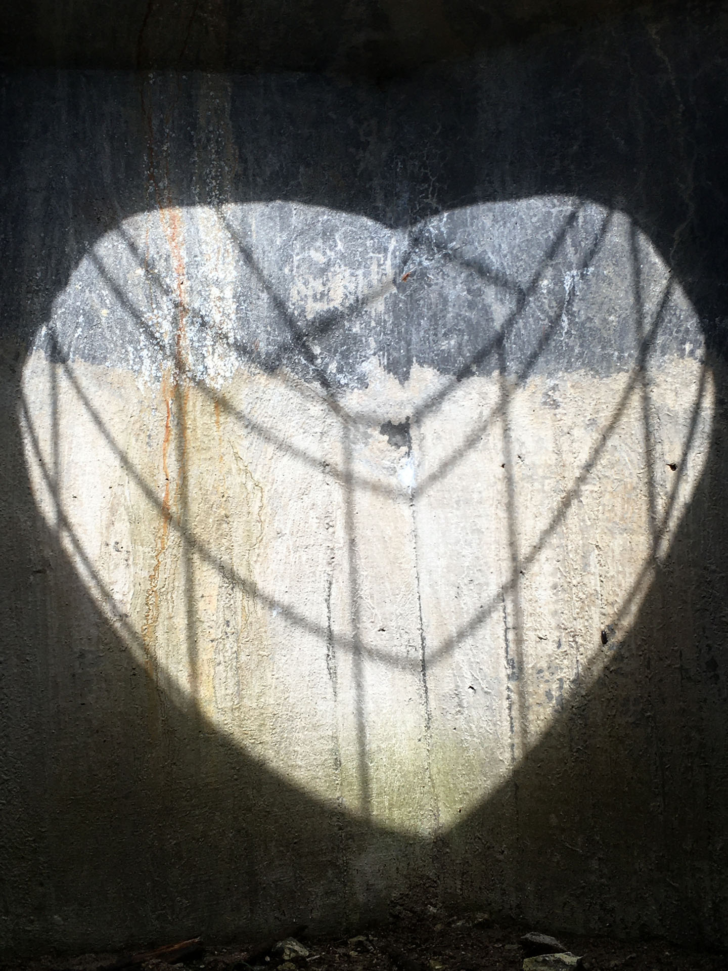 Ein herzförmiger Schatten an einer Wand