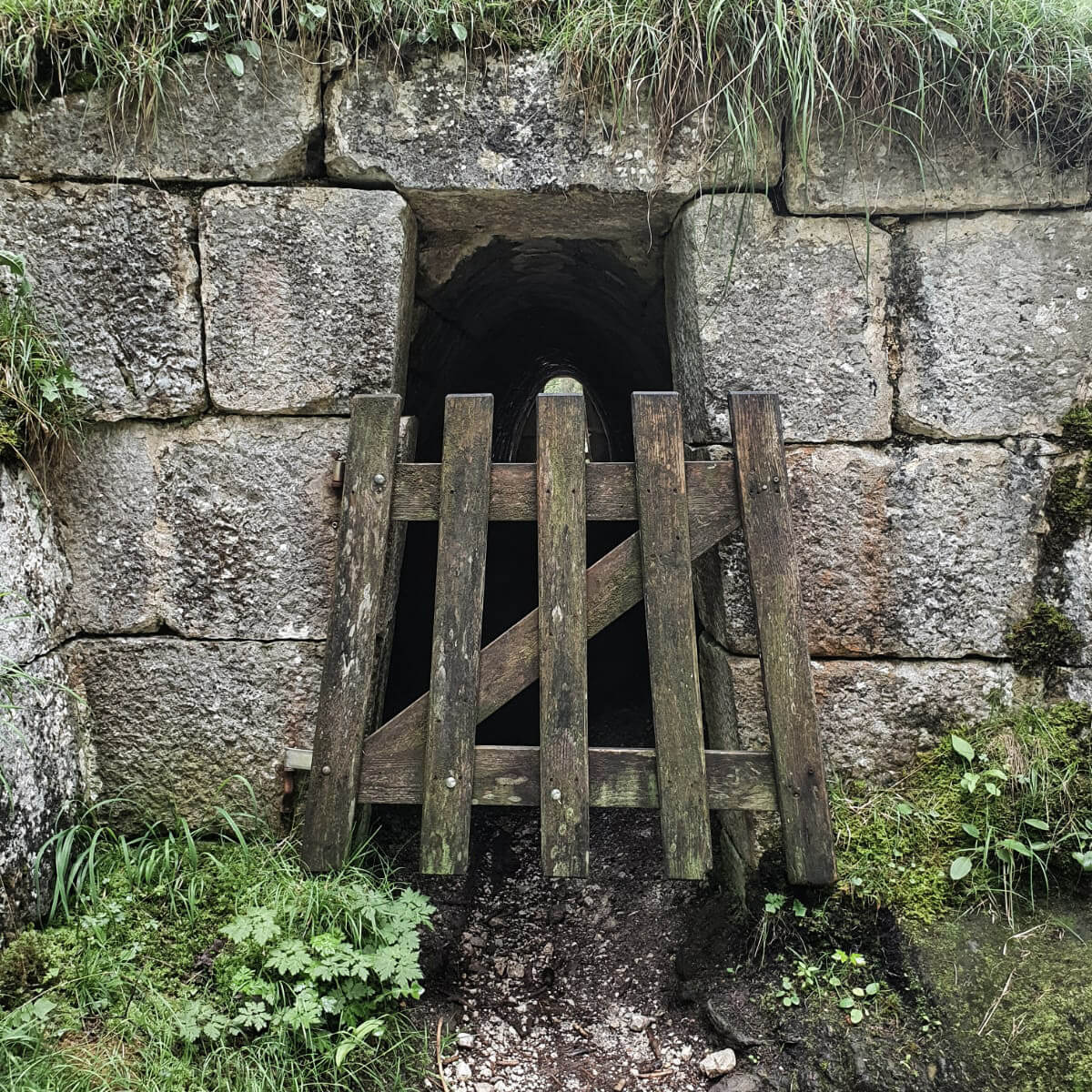 Tunneleingang mit Holztor